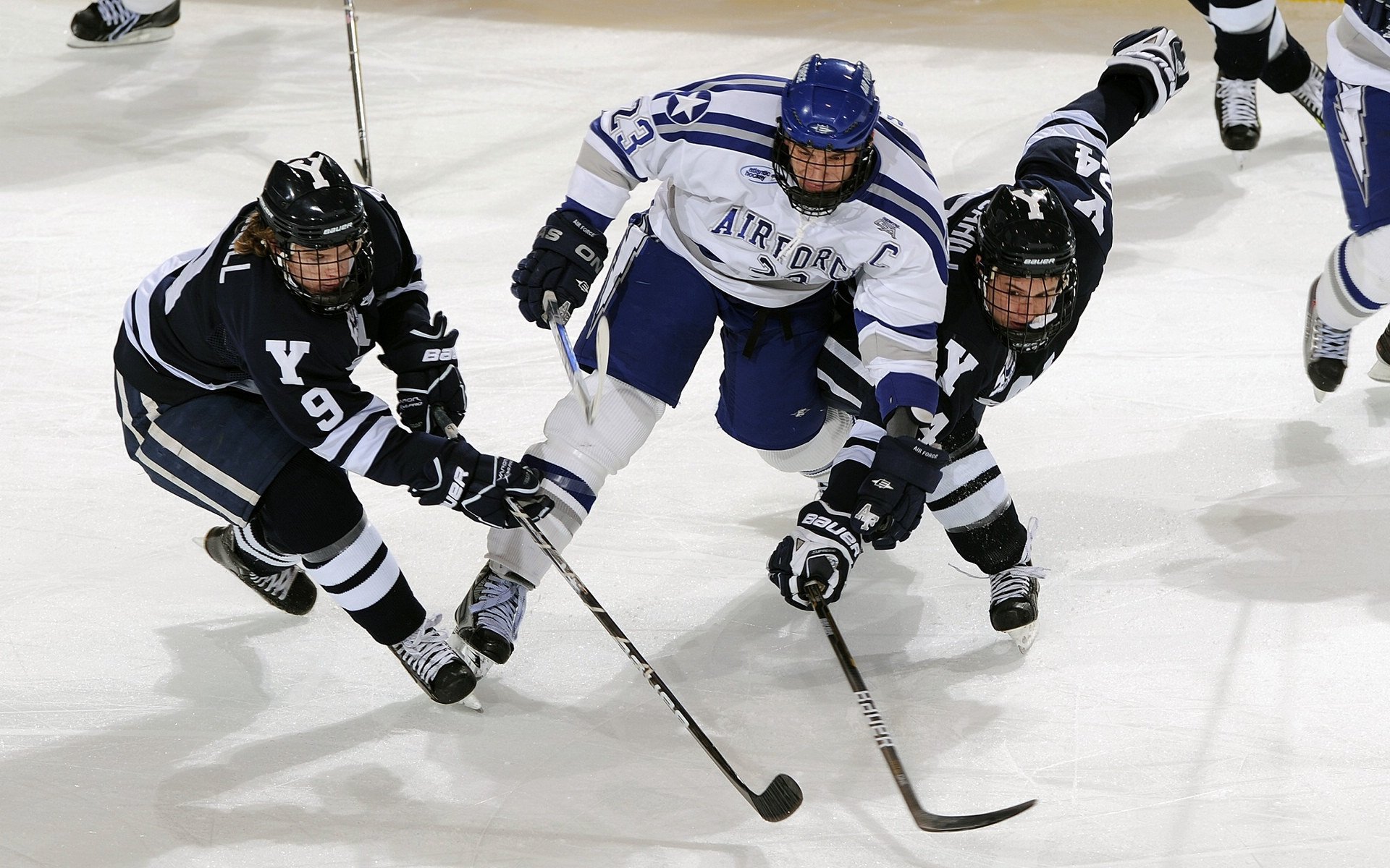 女足联赛持续吸引球迷关注